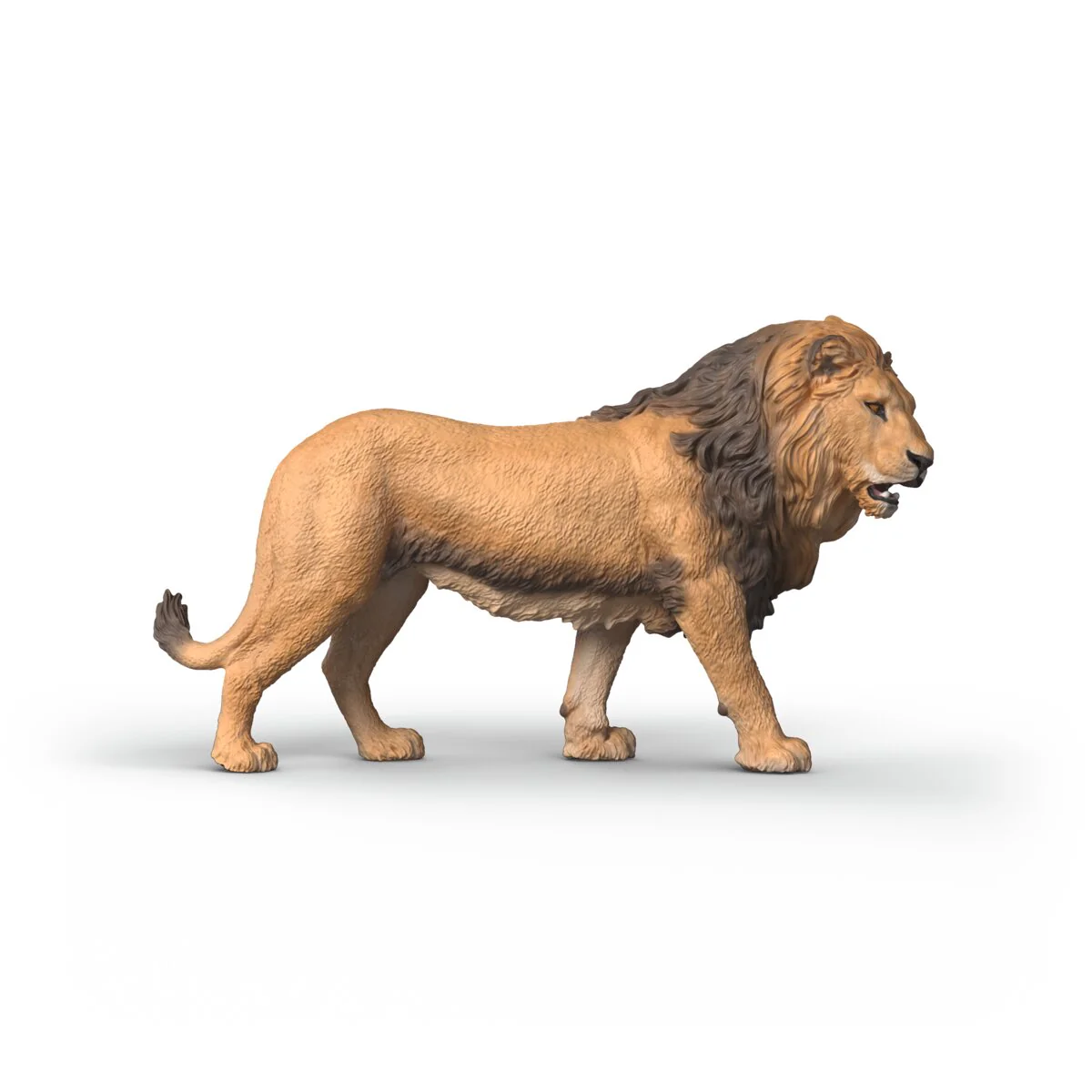 African Lion - Image 3