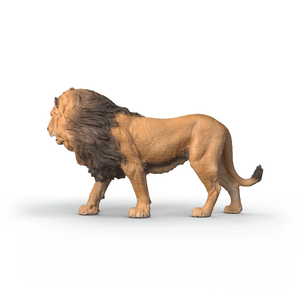 African Lion - Image 4