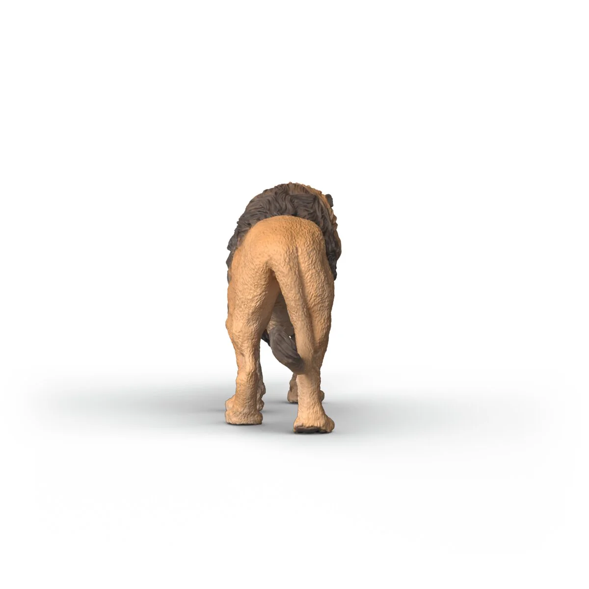 African Lion - Image 5