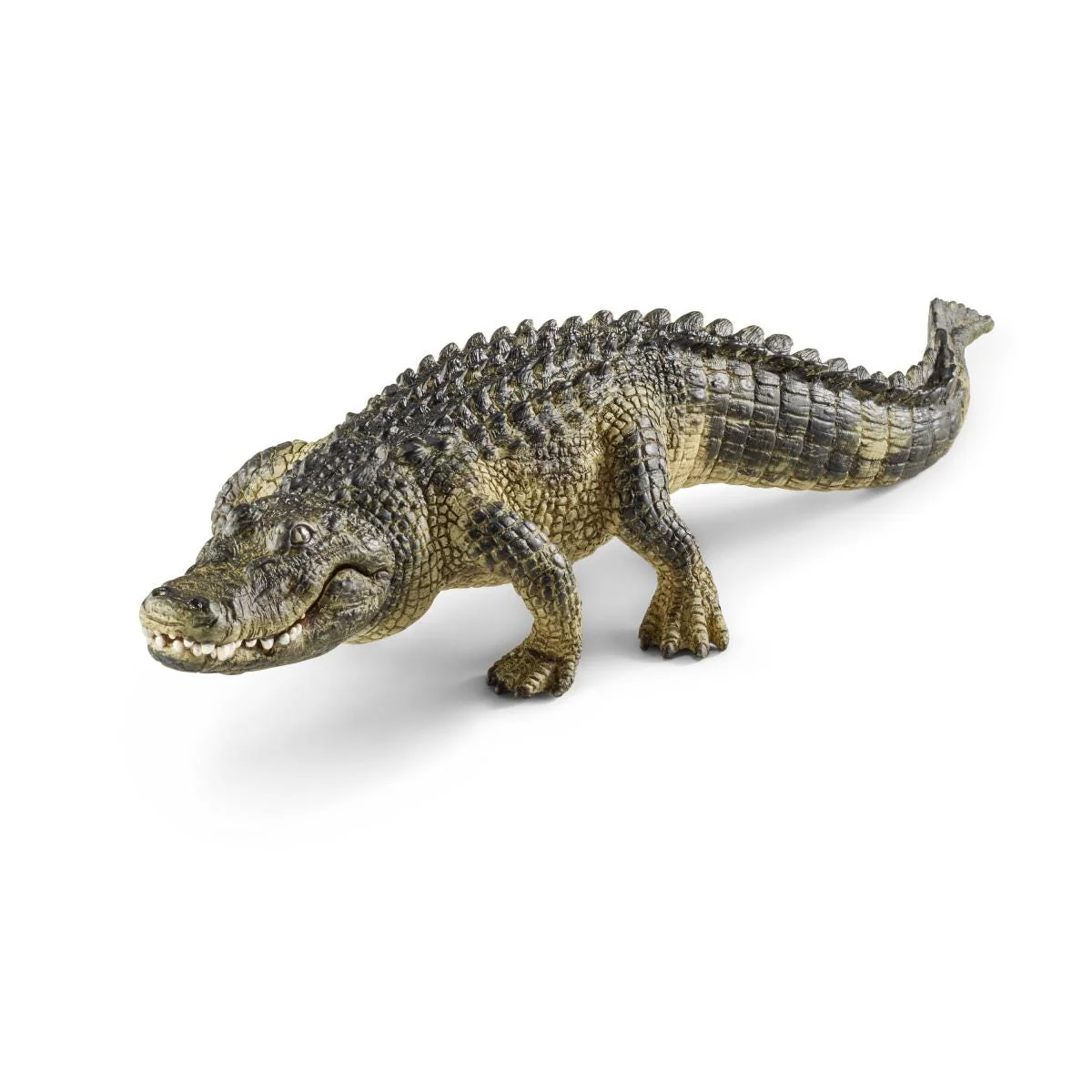 Alligator - Image 2