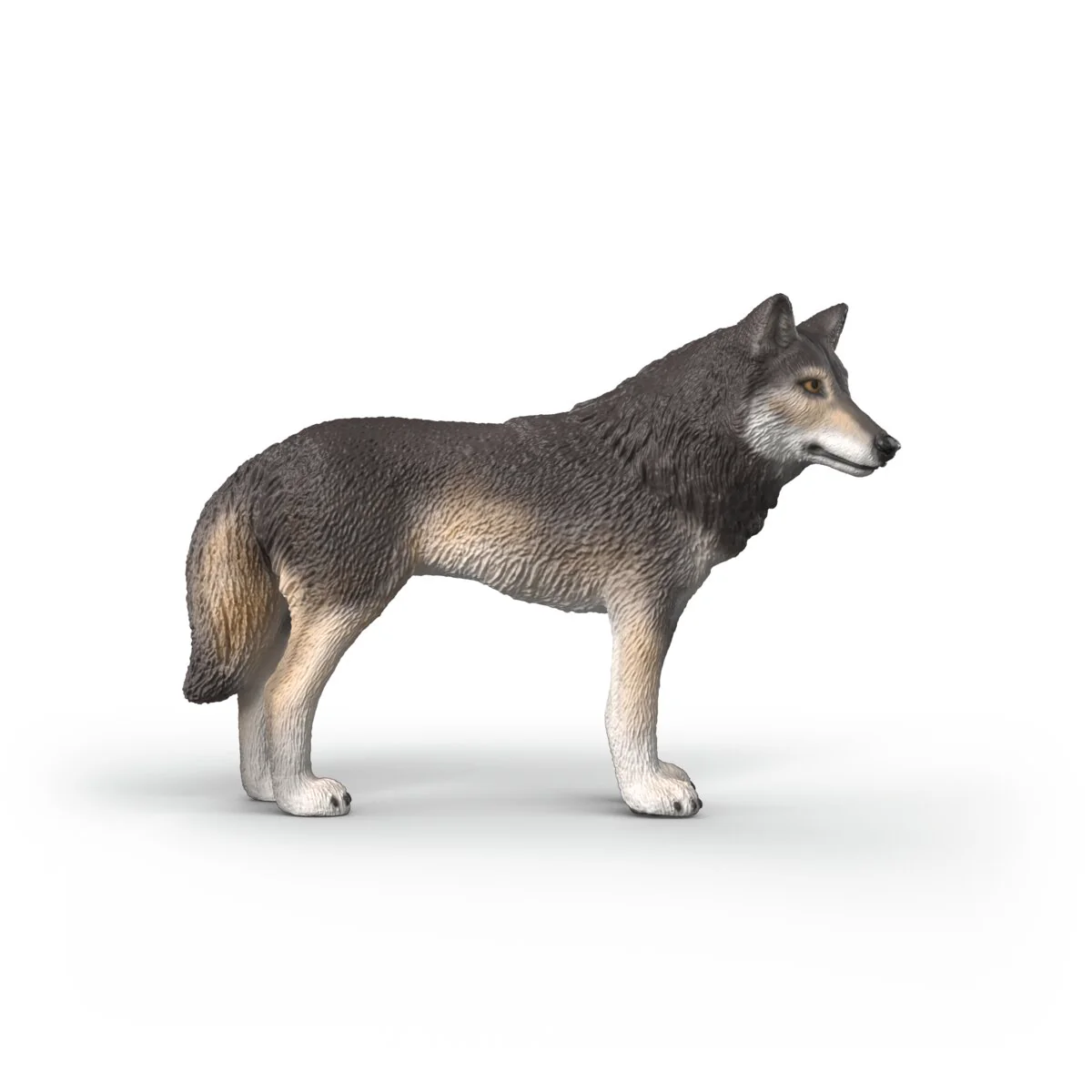 American Wolf - Image 3