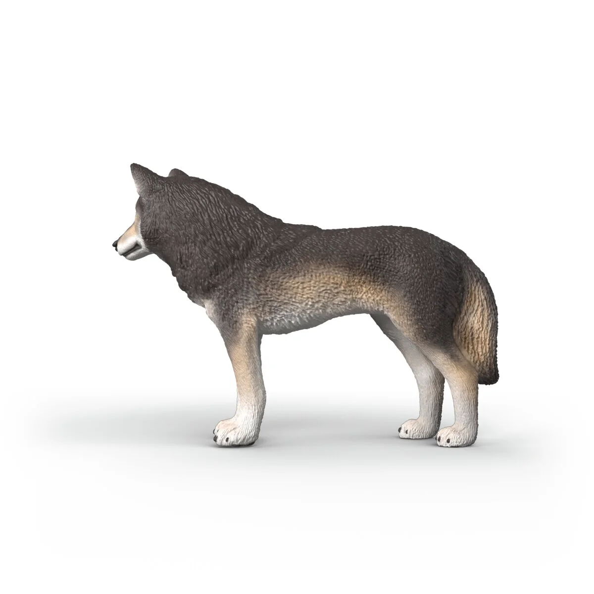 American Wolf - Image 5