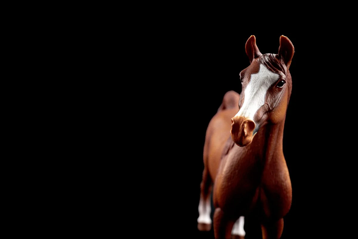 Amira, Arabian Mare 1:12 - Image 10