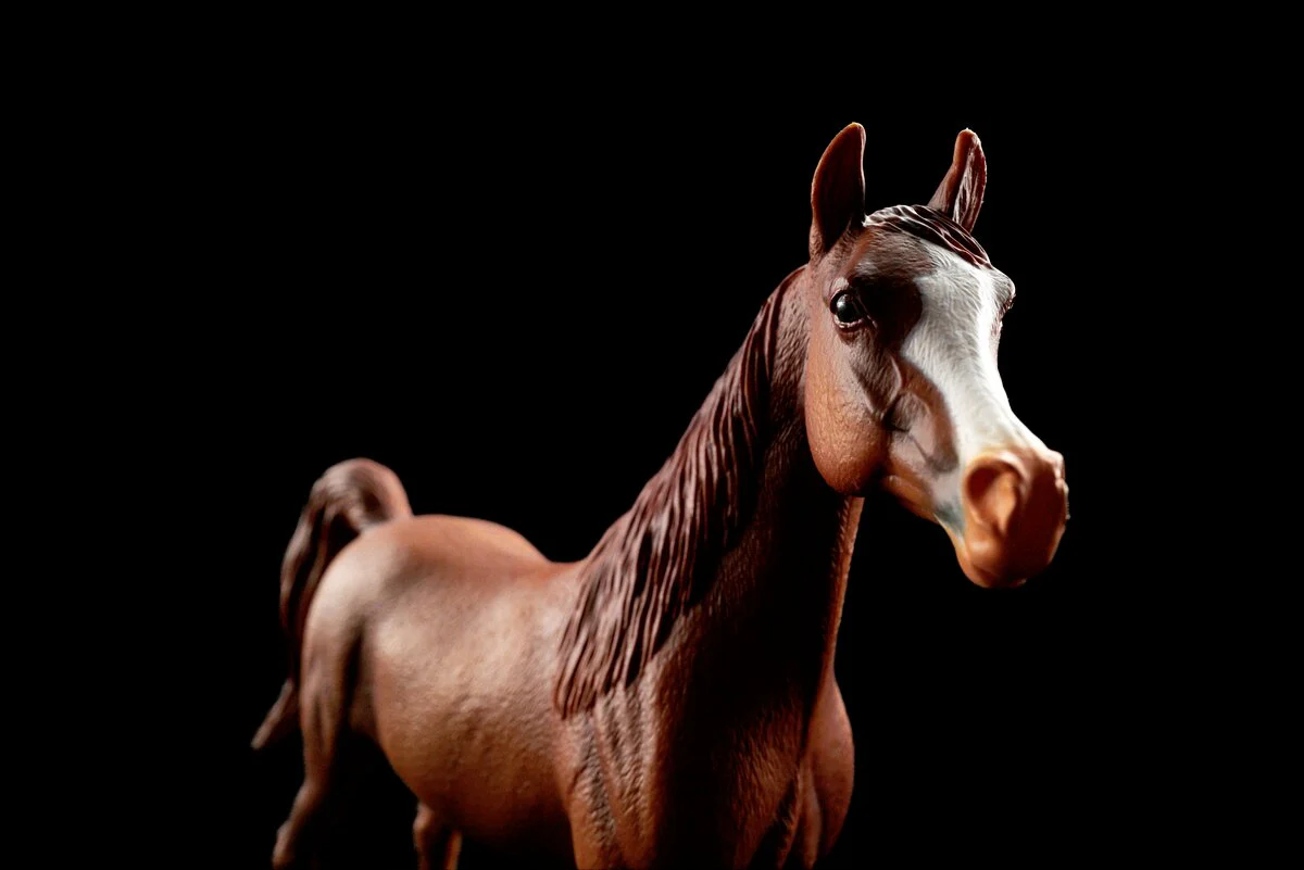 Amira, Arabian Mare 1:12 - Image 11