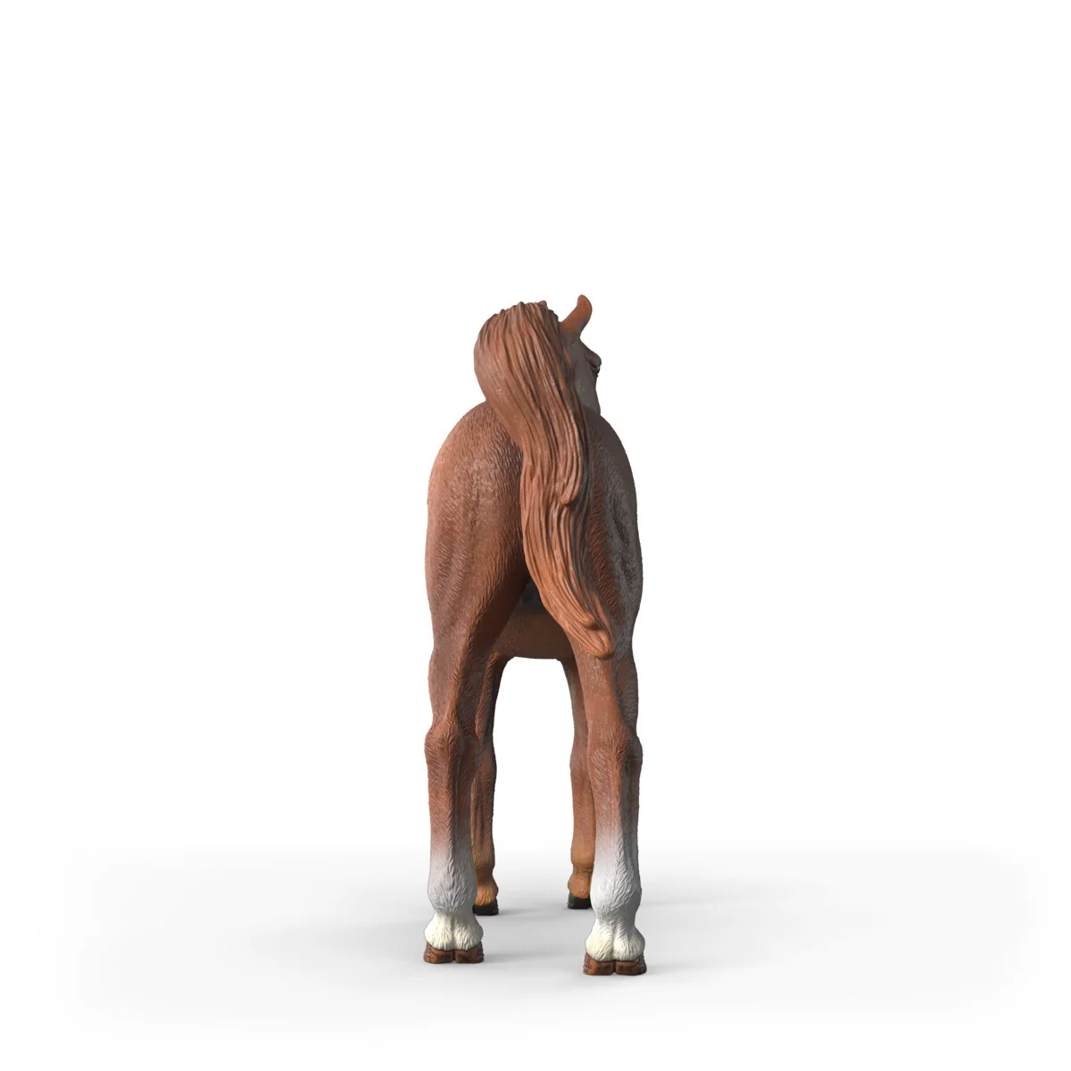 Amira, Arabian Mare 1:12 - Image 12