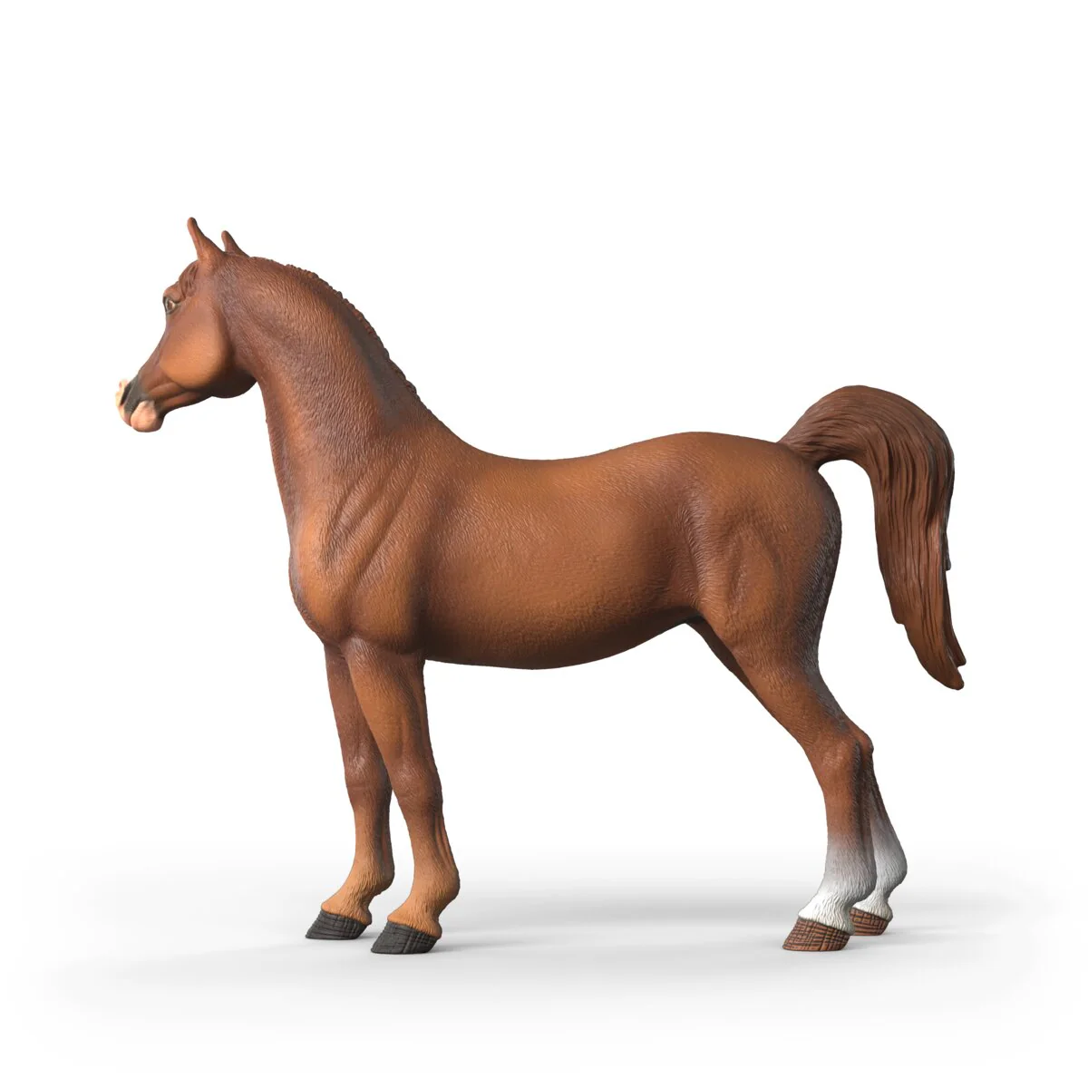Amira, Arabian Mare 1:12 - Image 13