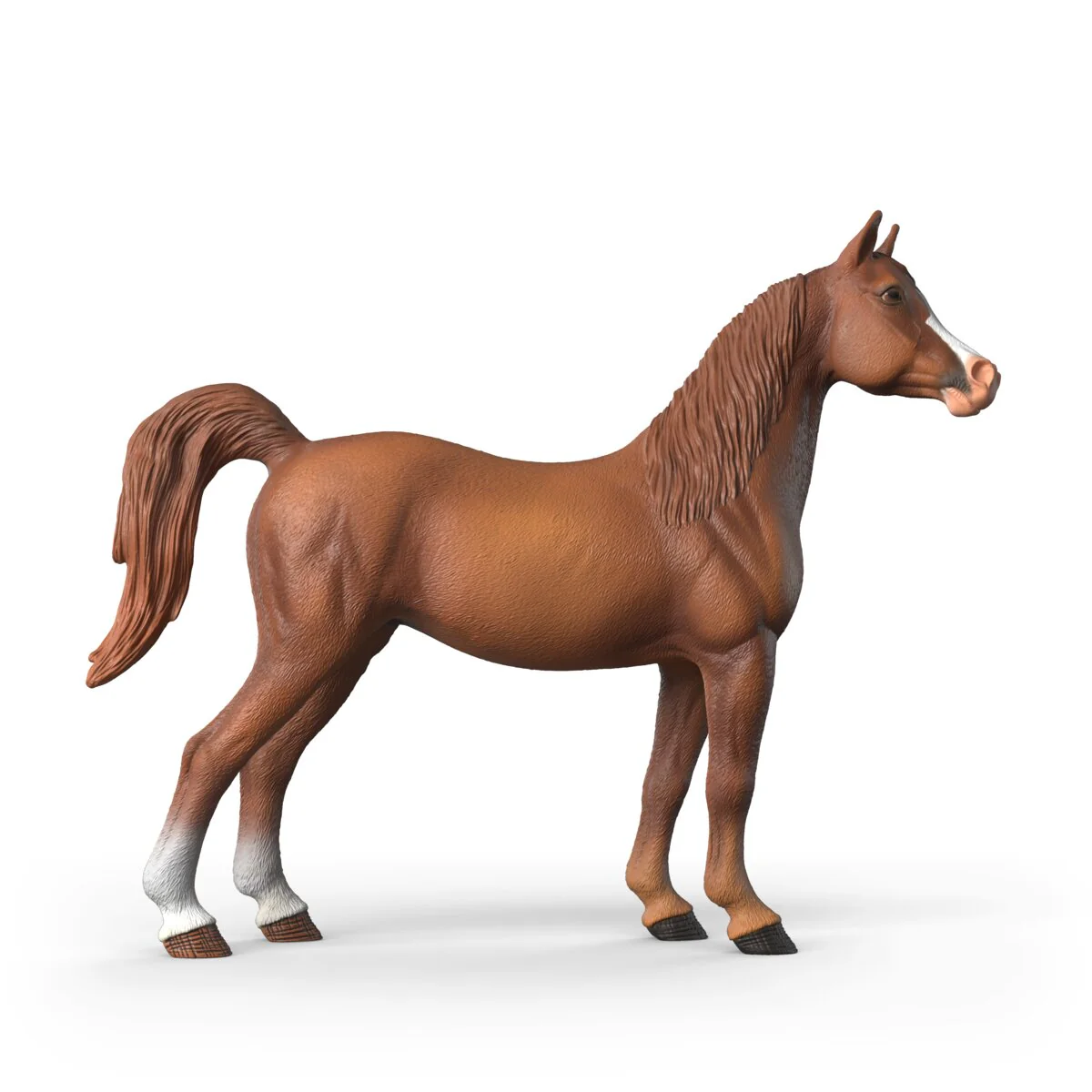 Amira, Arabian Mare 1:12 - Image 14