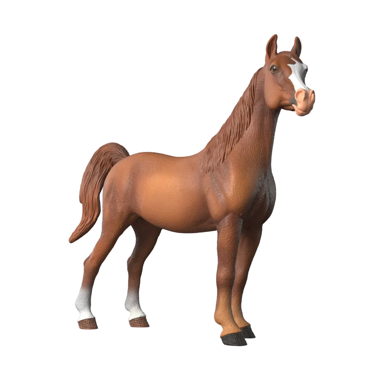 Amira, Arabian Mare 1:12 - Image 15