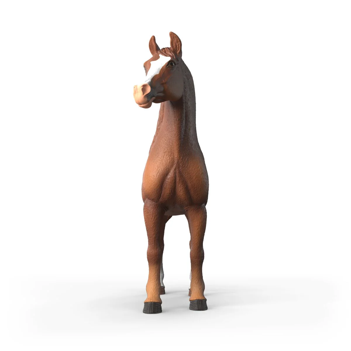 Amira, Arabian Mare 1:12 - Image 3