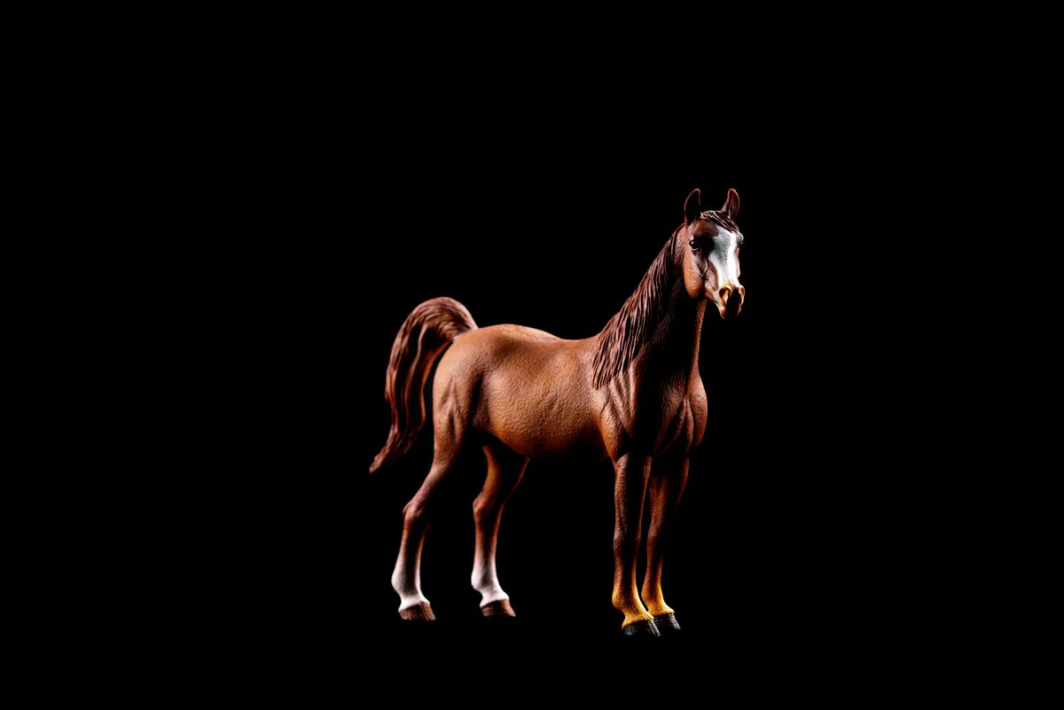Amira, Arabian Mare 1:12 - Image 9
