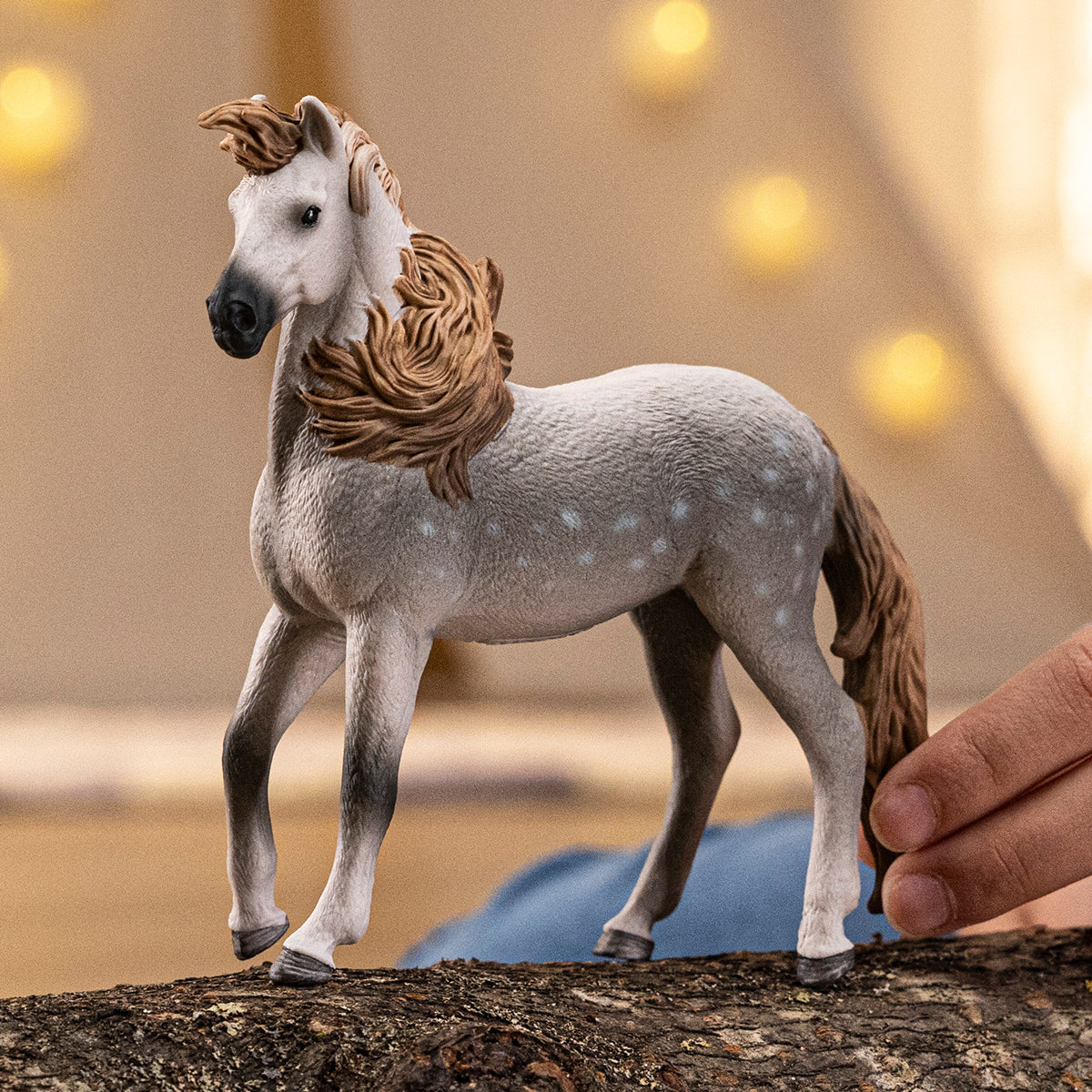 Andalusian Stallion - Image 2