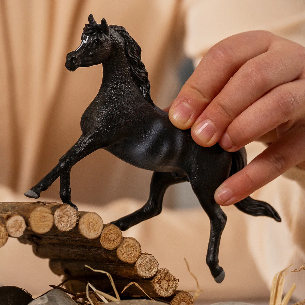Arabian Stallion - Image 2