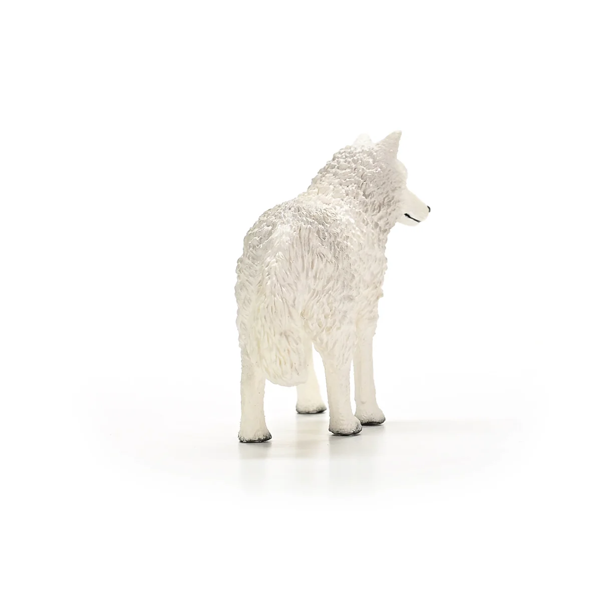 Arctic Wolf - Image 3