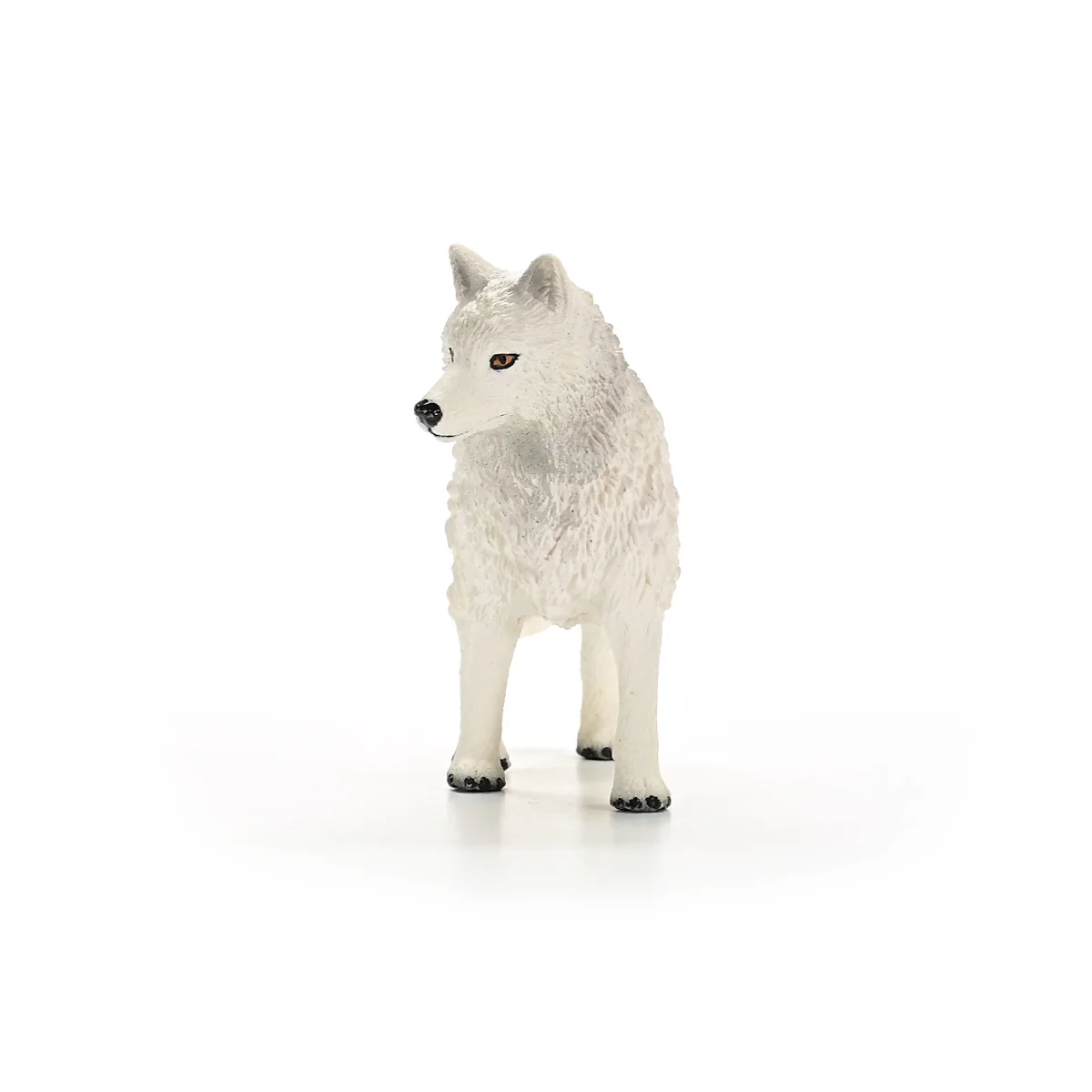 Arctic Wolf - Image 4