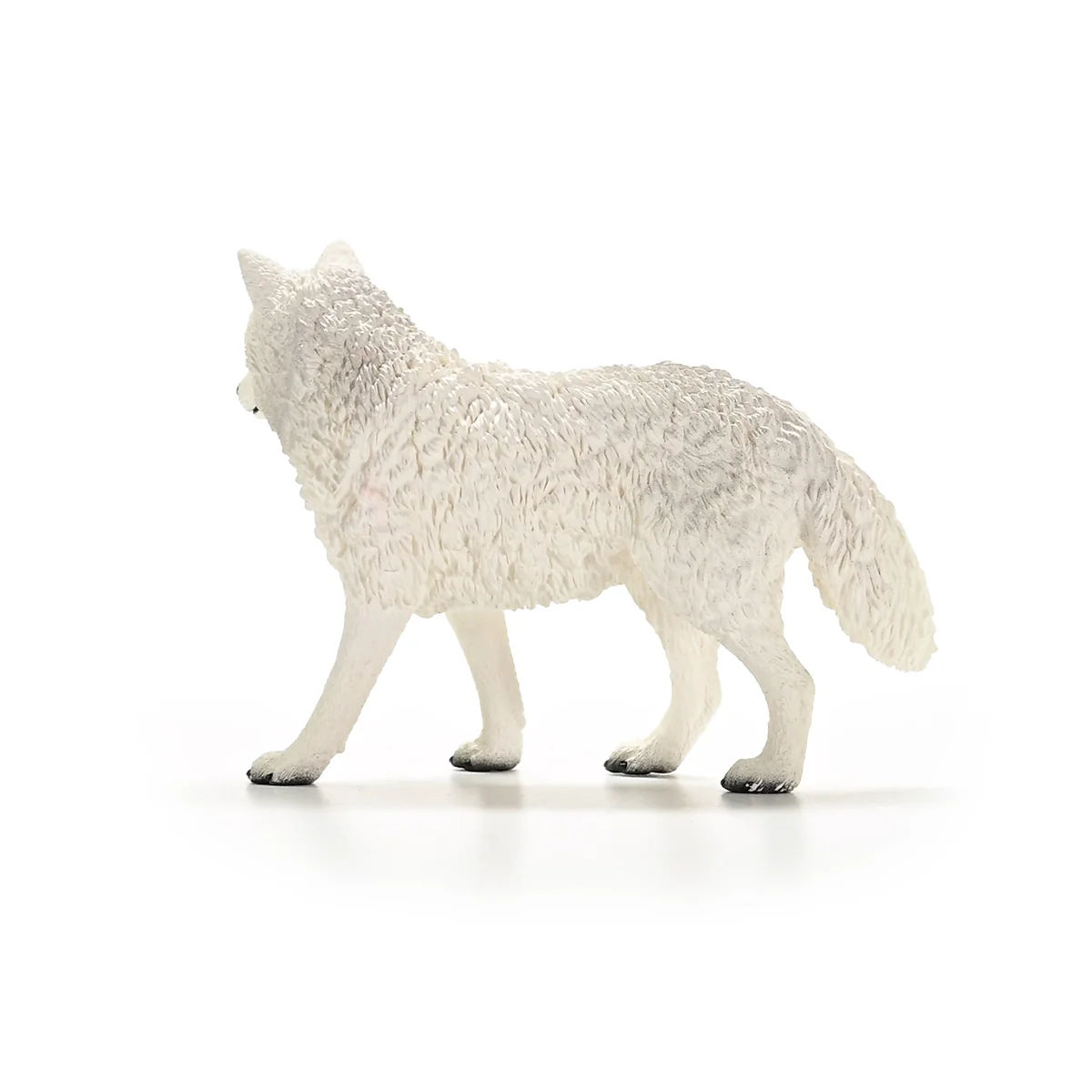 Arctic Wolf - Image 5