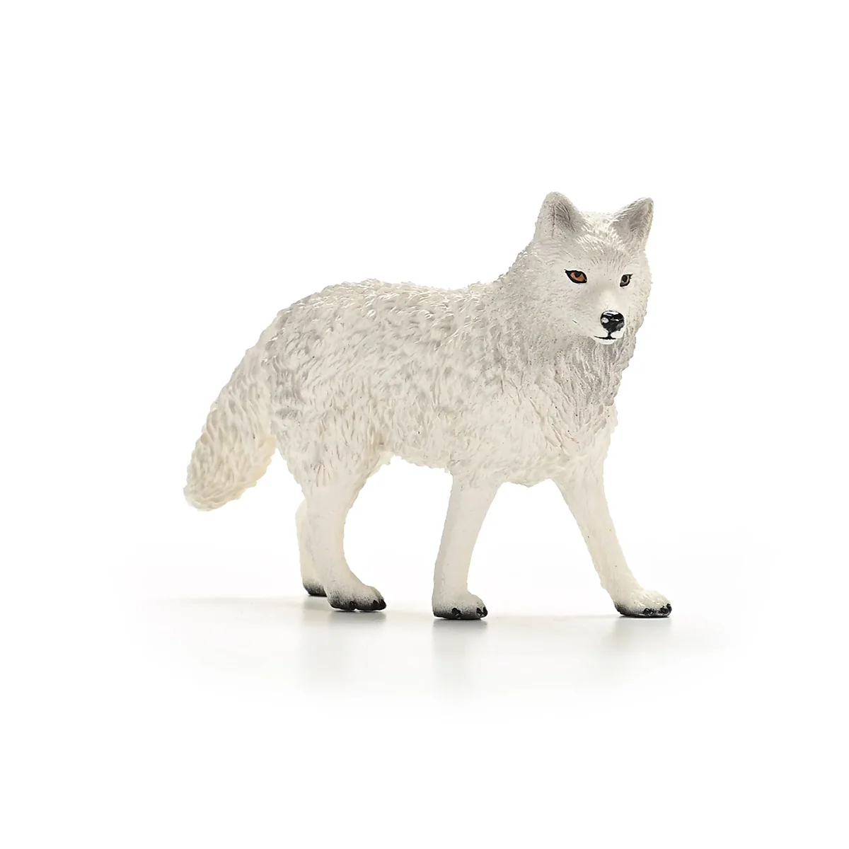 Arctic Wolf - Image 6