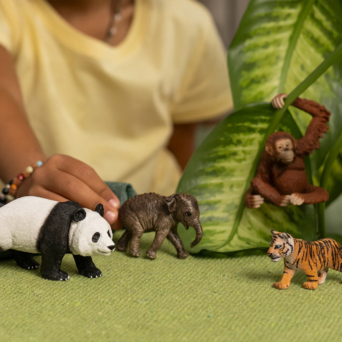 Wild Life Asia Starter Set - Image 2