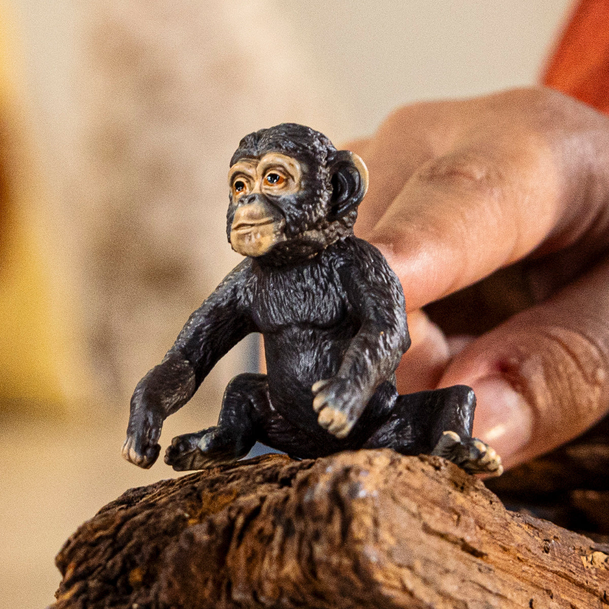 Baby Chimpanzee - Image 2