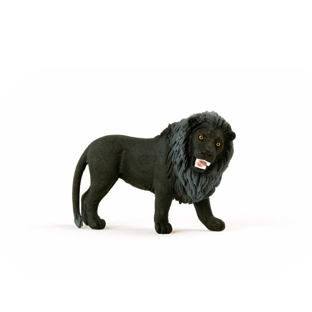Black Lion, roaring