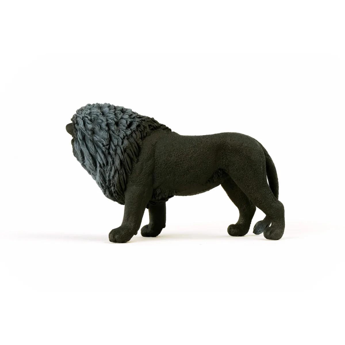 Black Lion, roaring - Image 7