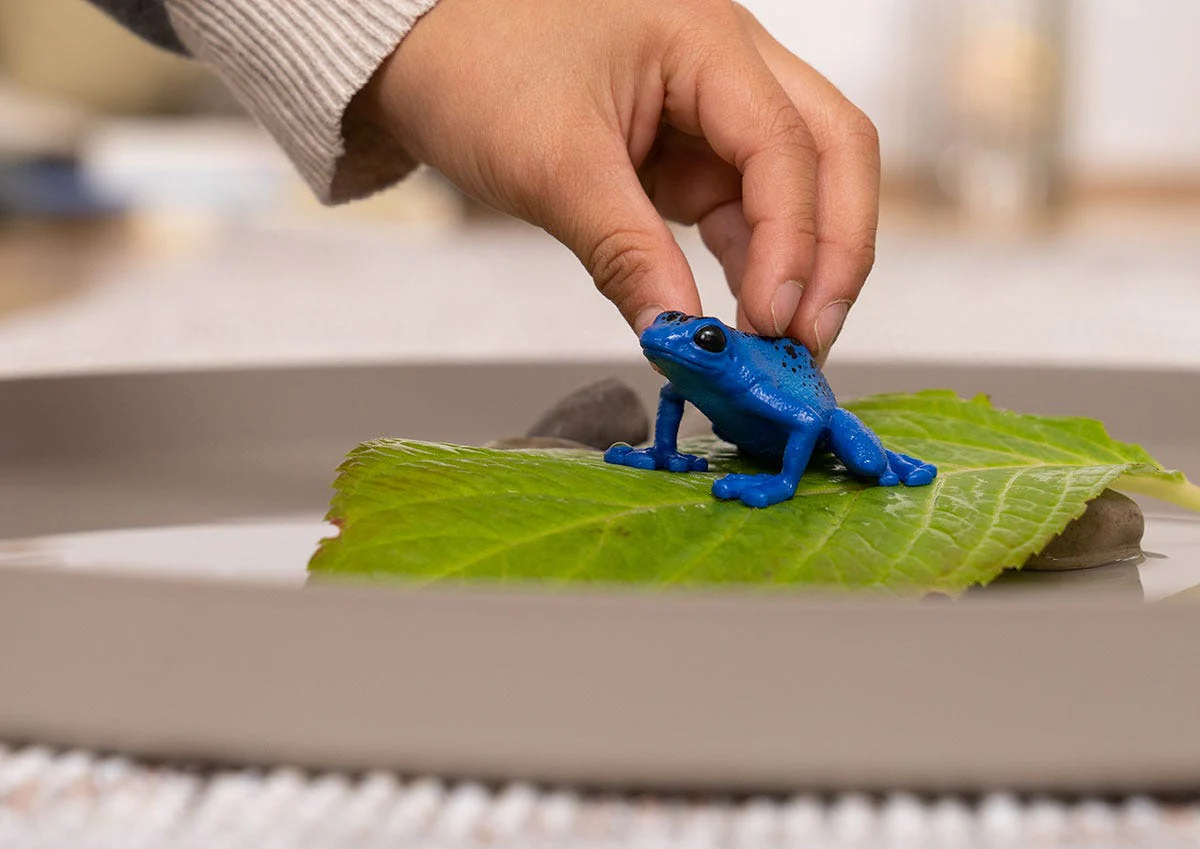 Blue Poison Dart Frog - Image 2