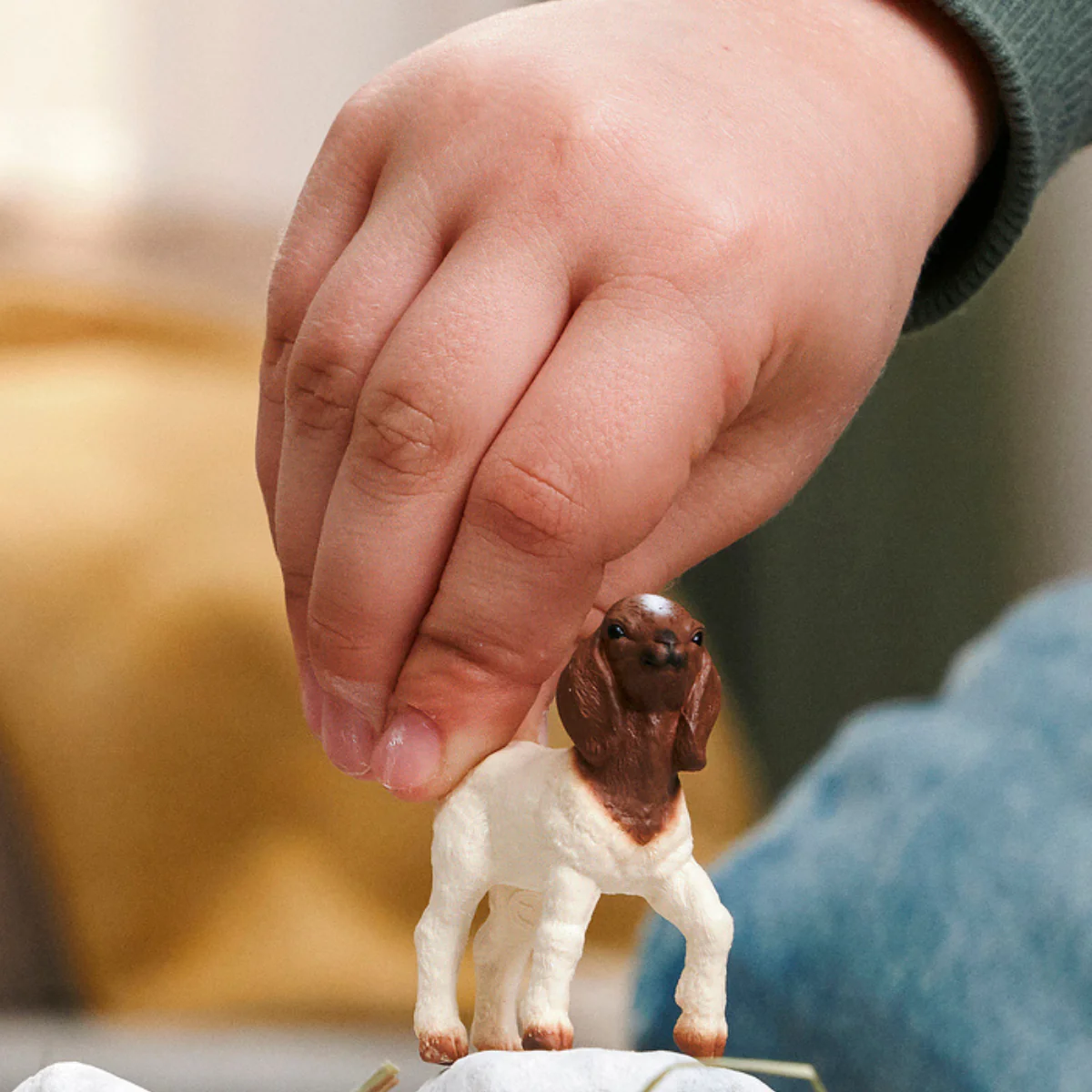 Boer Goat kid - Image 2