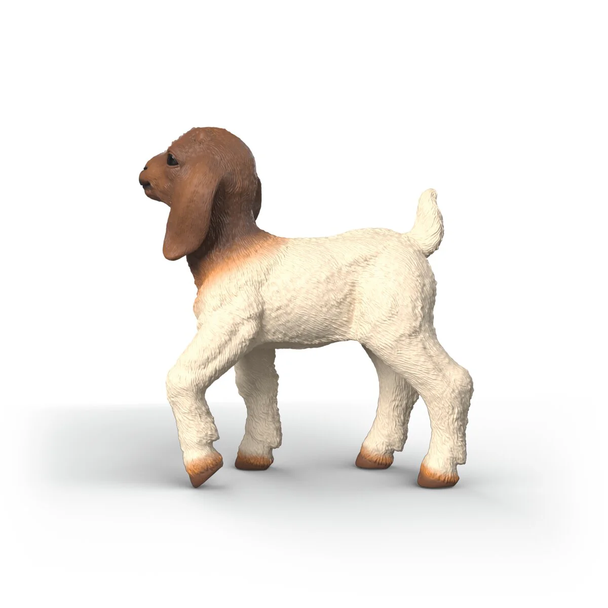Boer Goat kid - Image 5