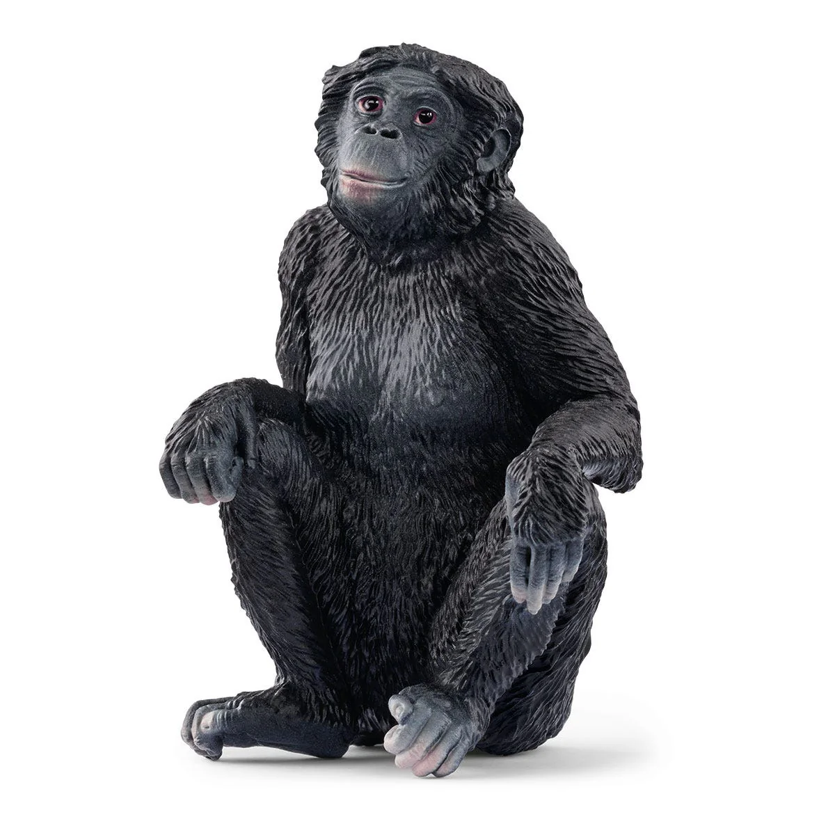 Bonobo Female (Bundle)