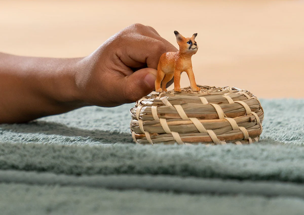 Caracal Baby - Image 2
