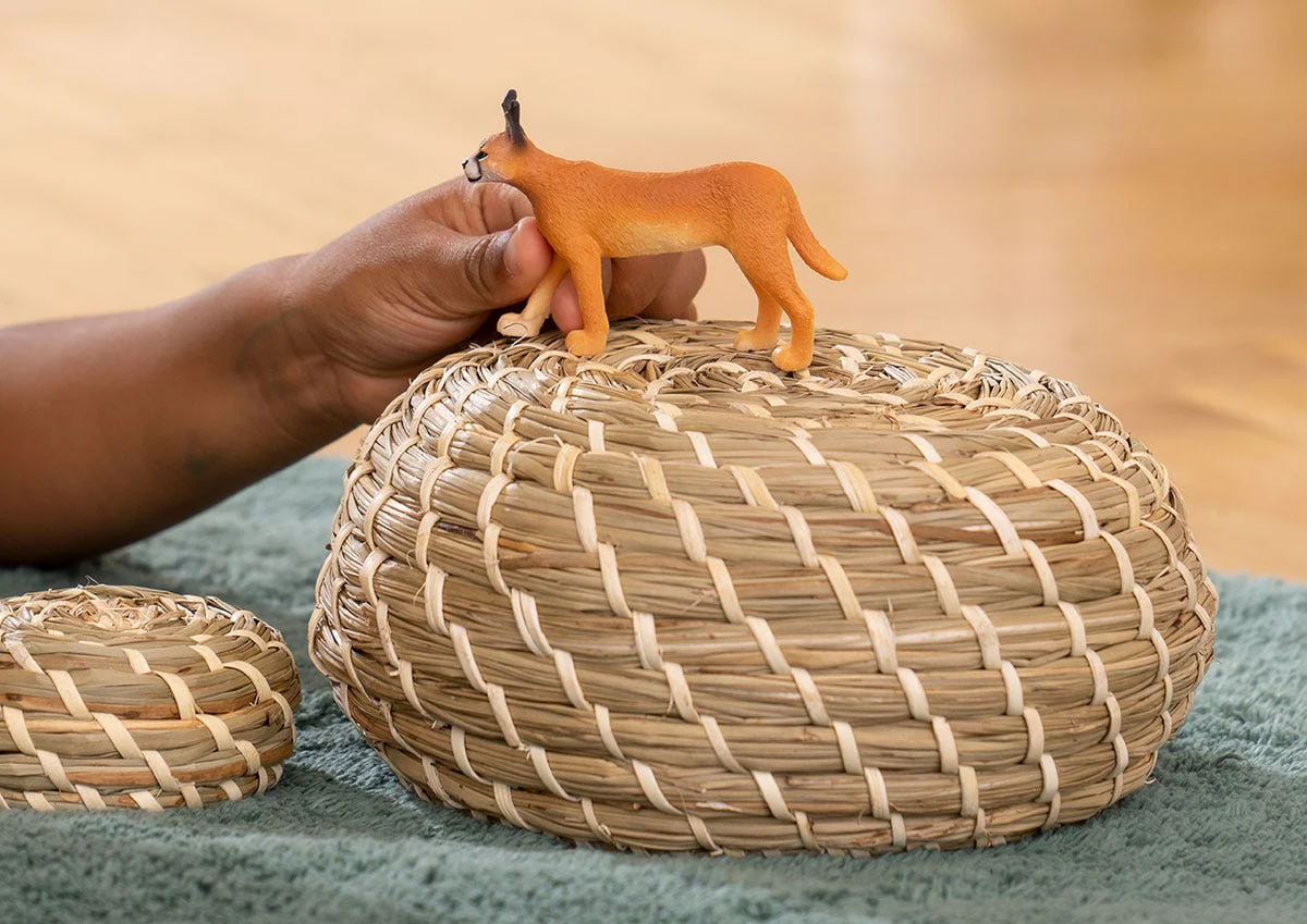 Caracal Female - Image 2