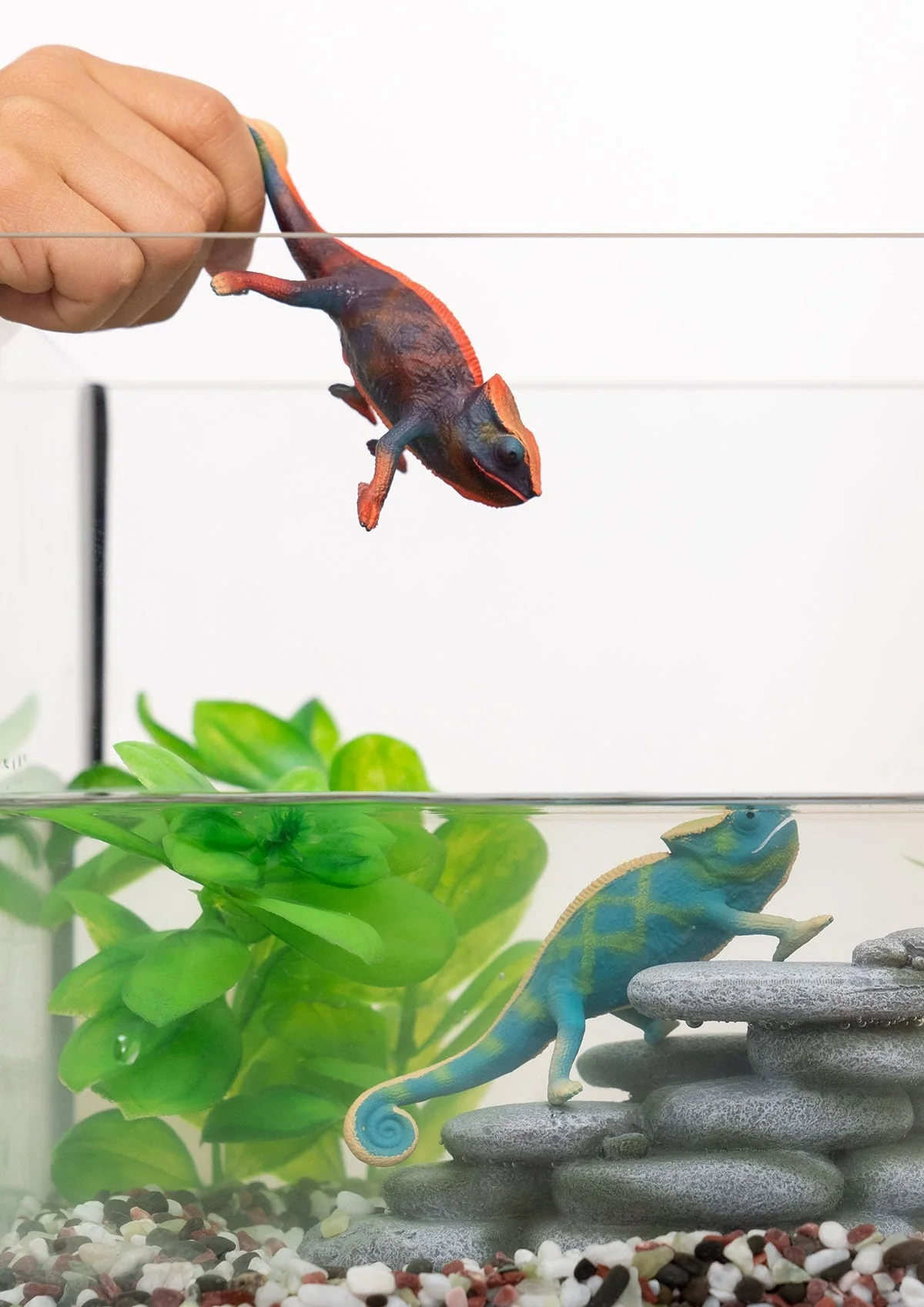 Chameleon - Image 3