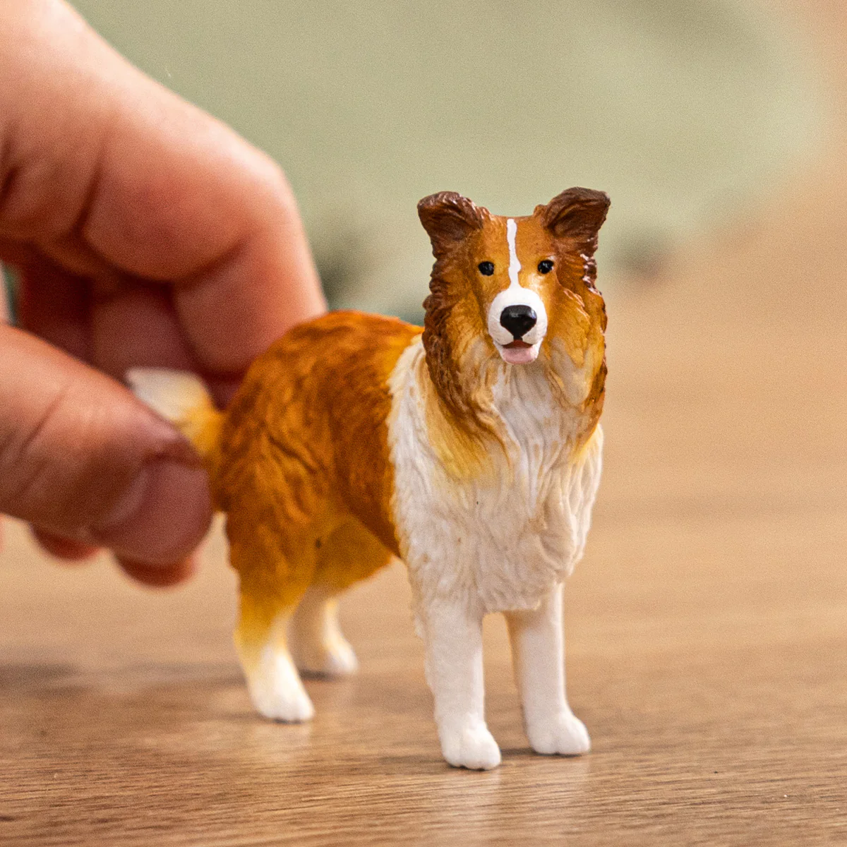 Collie - Image 2