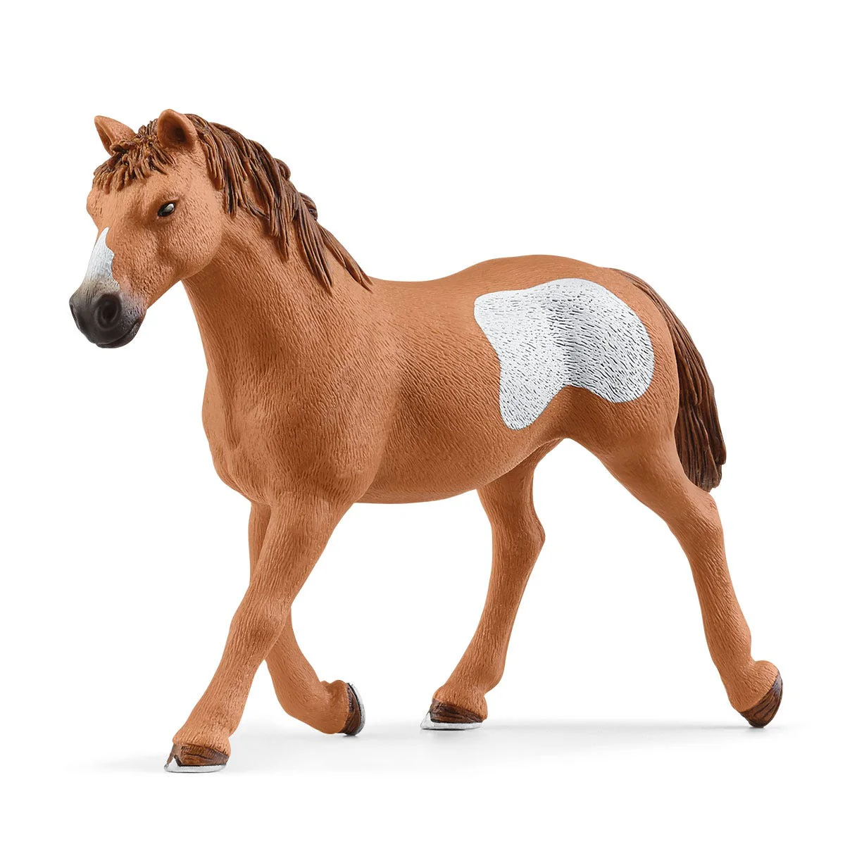 Cowgirl Team Roping Fun - Image 12