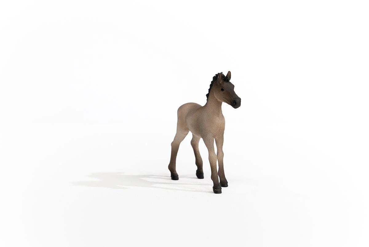 Criollo Definitivo Foal - Image 5