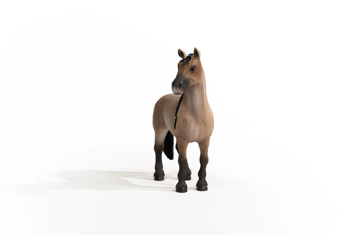 Criollo Definitivo Mare - Image 3