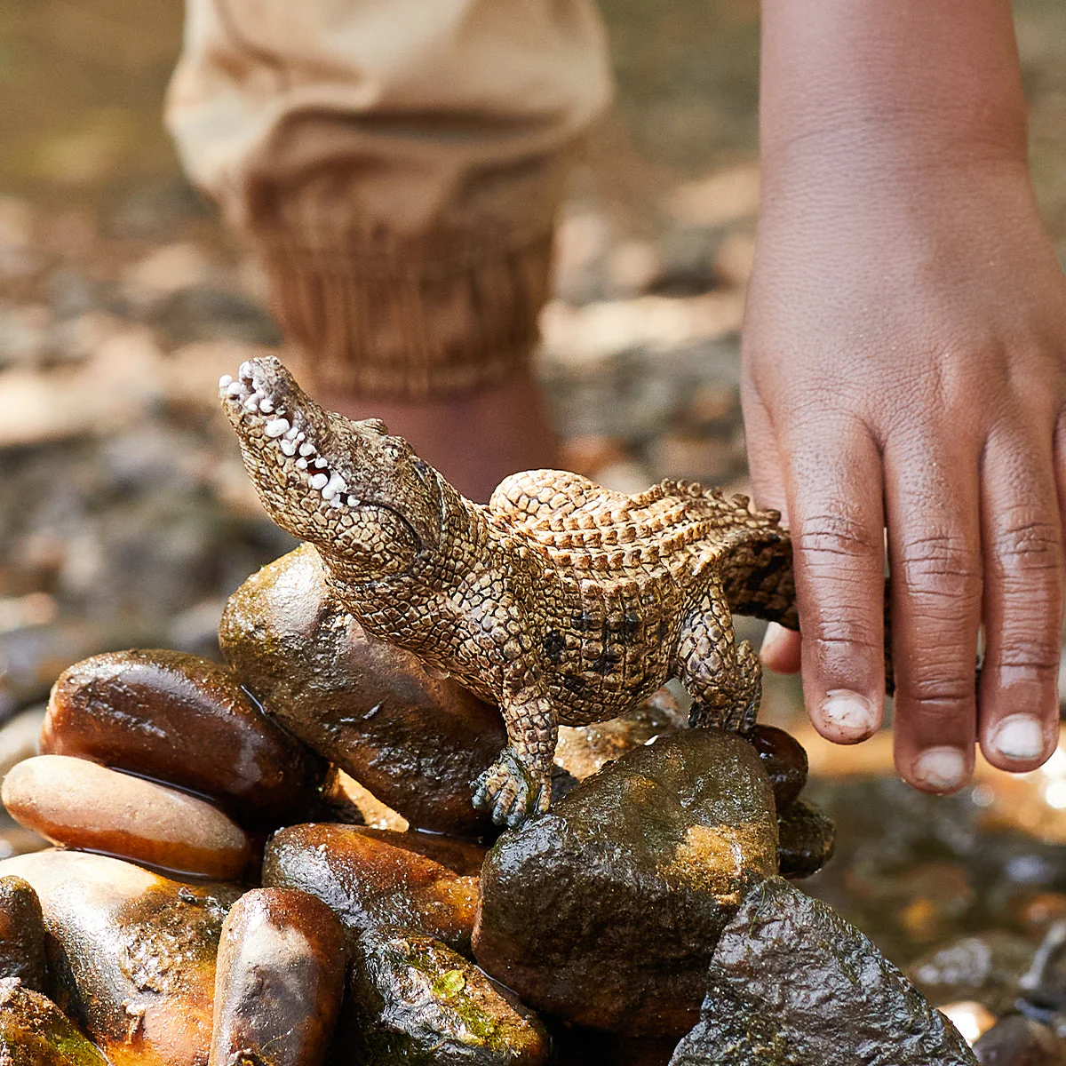 Crocodile - Image 4