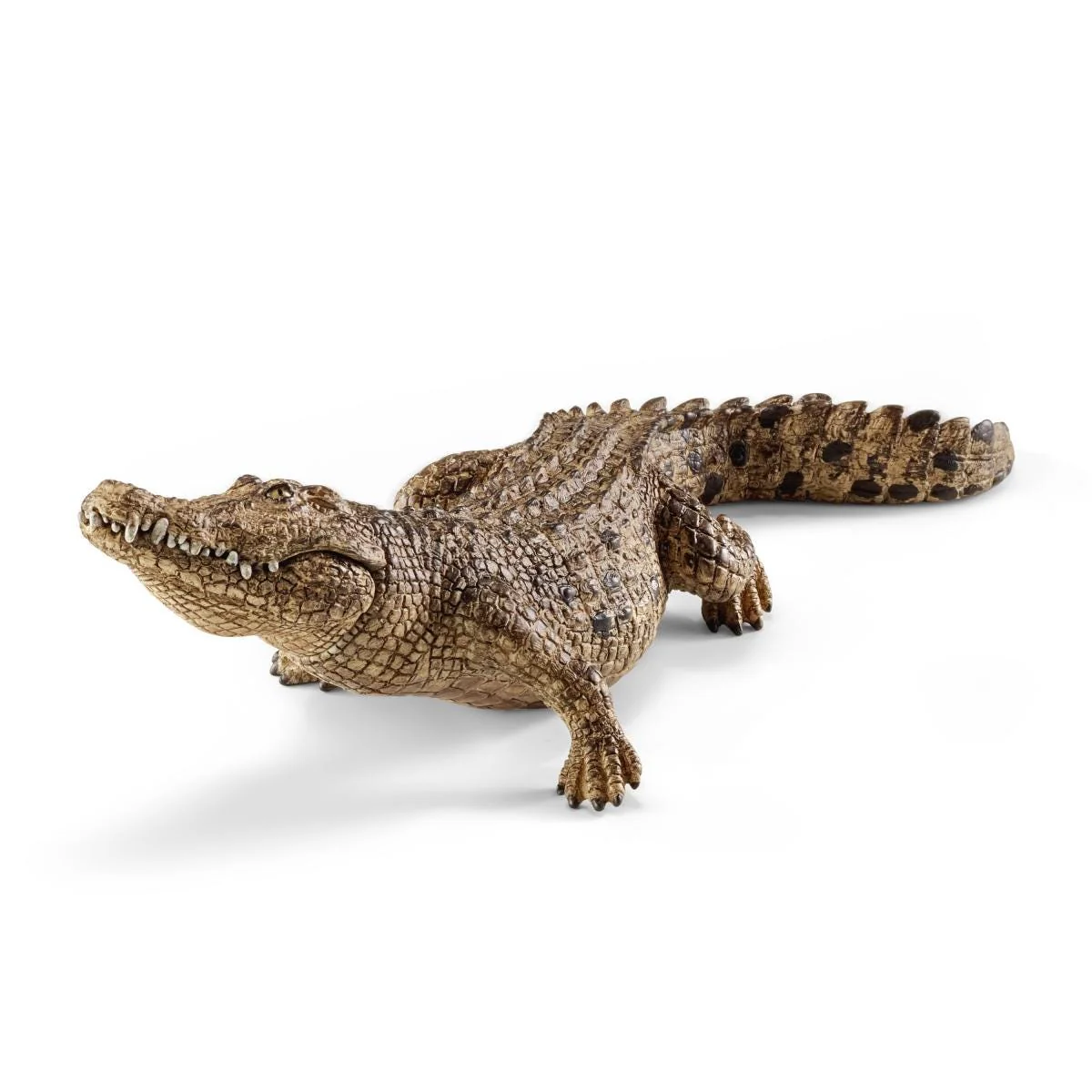 Crocodile - Image 5