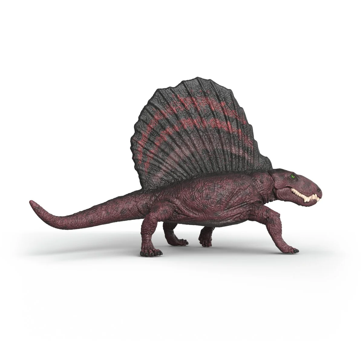 Dimetrodon - Image 5