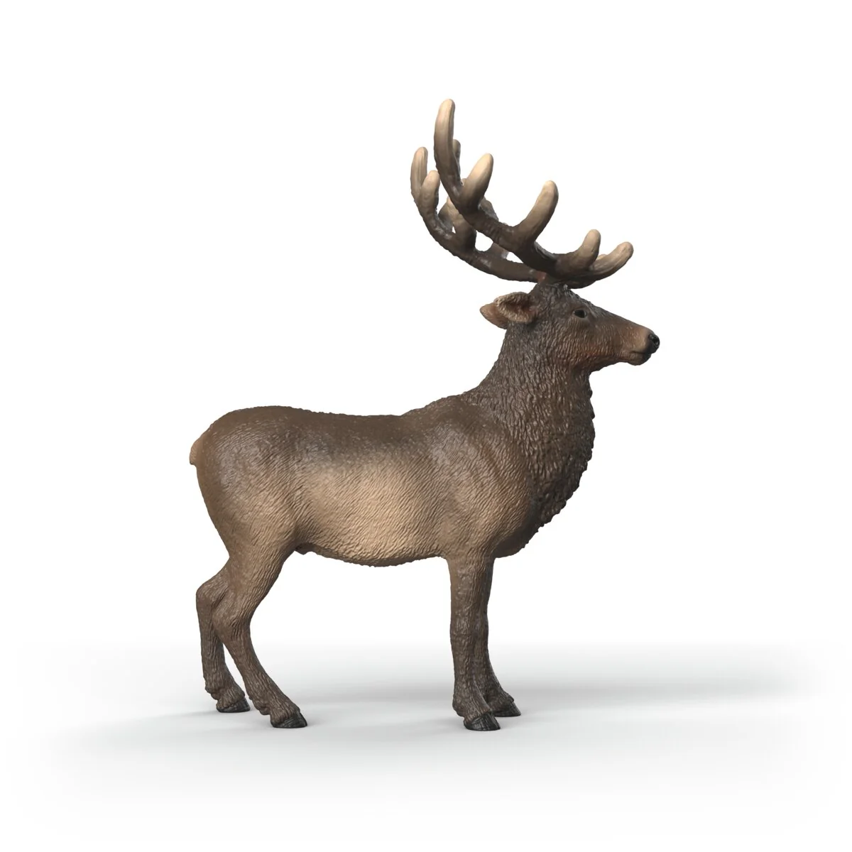 Elk - Image 3
