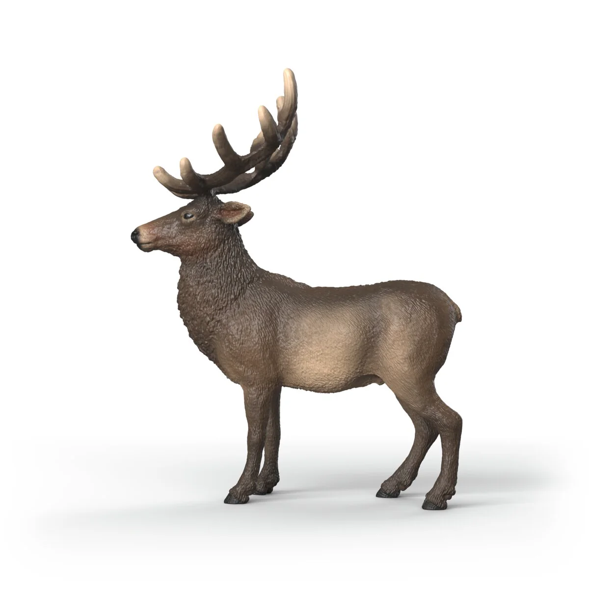 Elk - Image 4