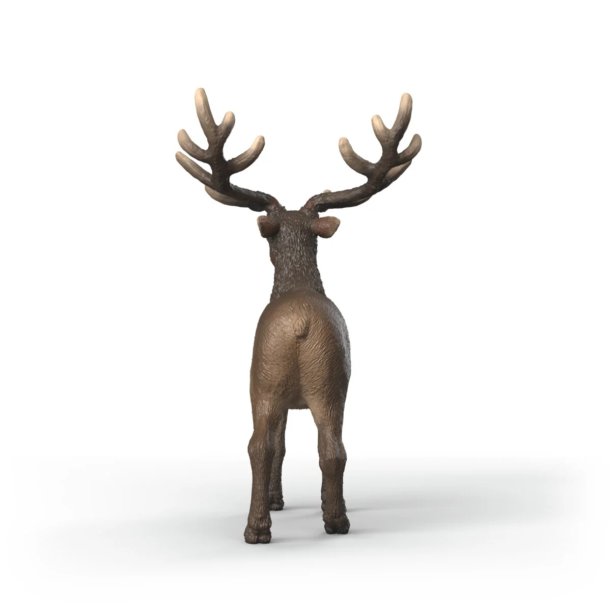 Elk - Image 5