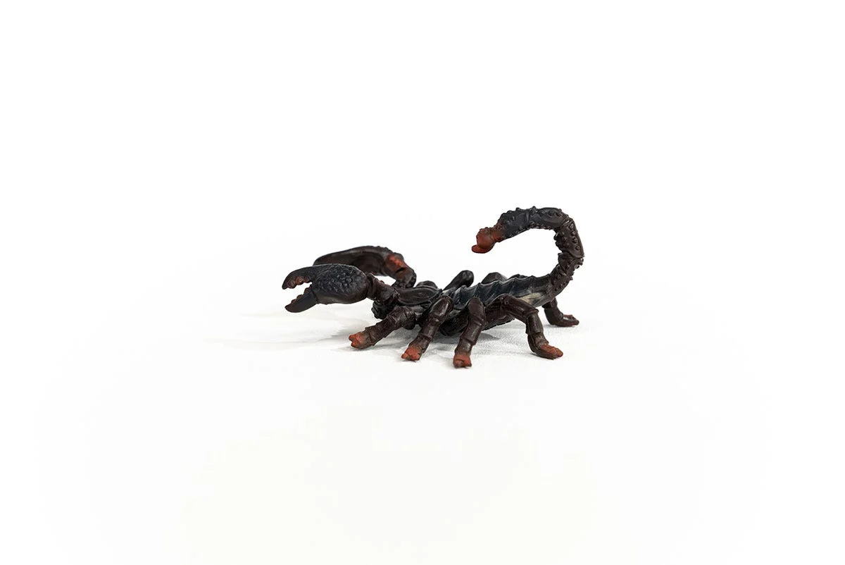 Emperor Scorpion - Image 3