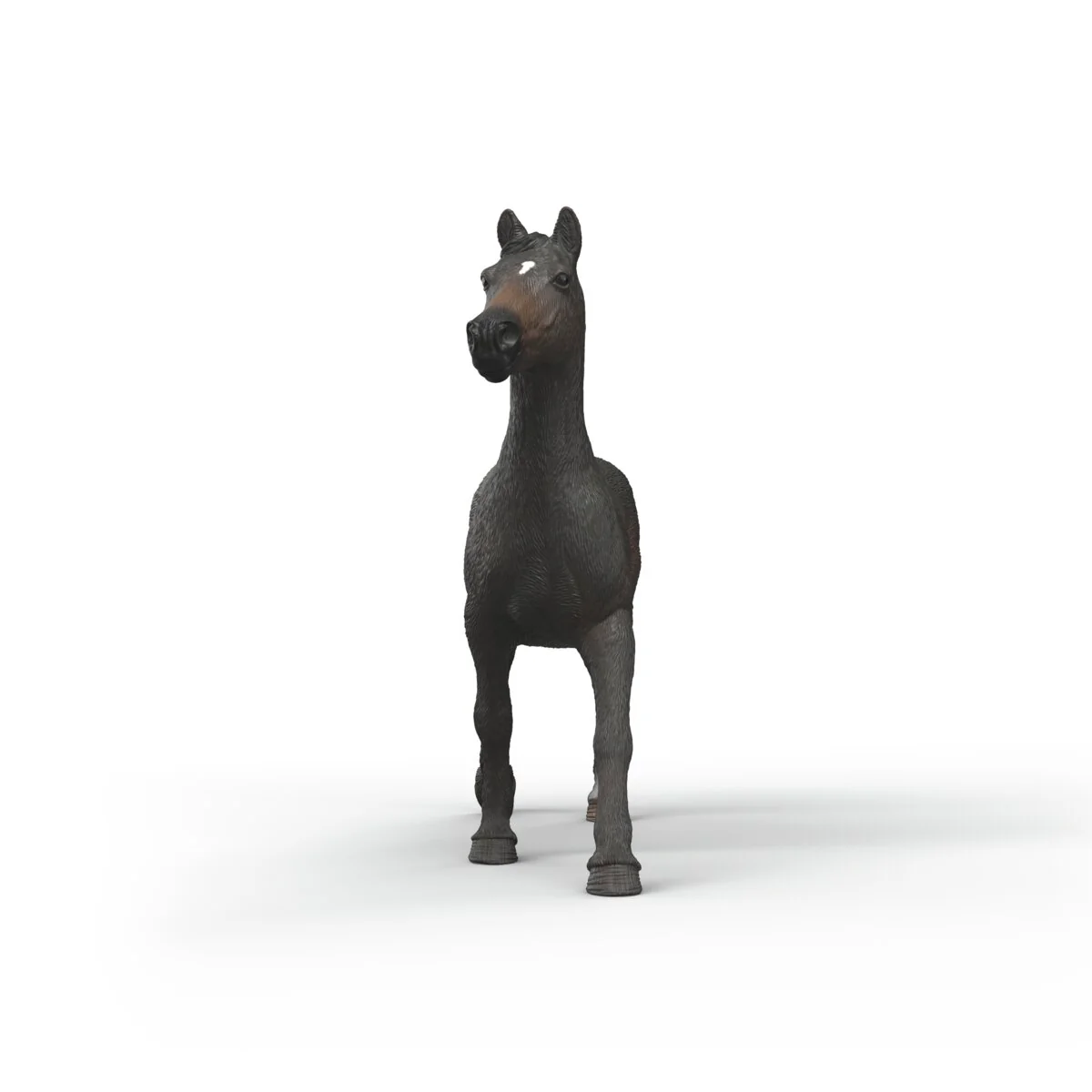 English Thoroughbred Mare - Image 3