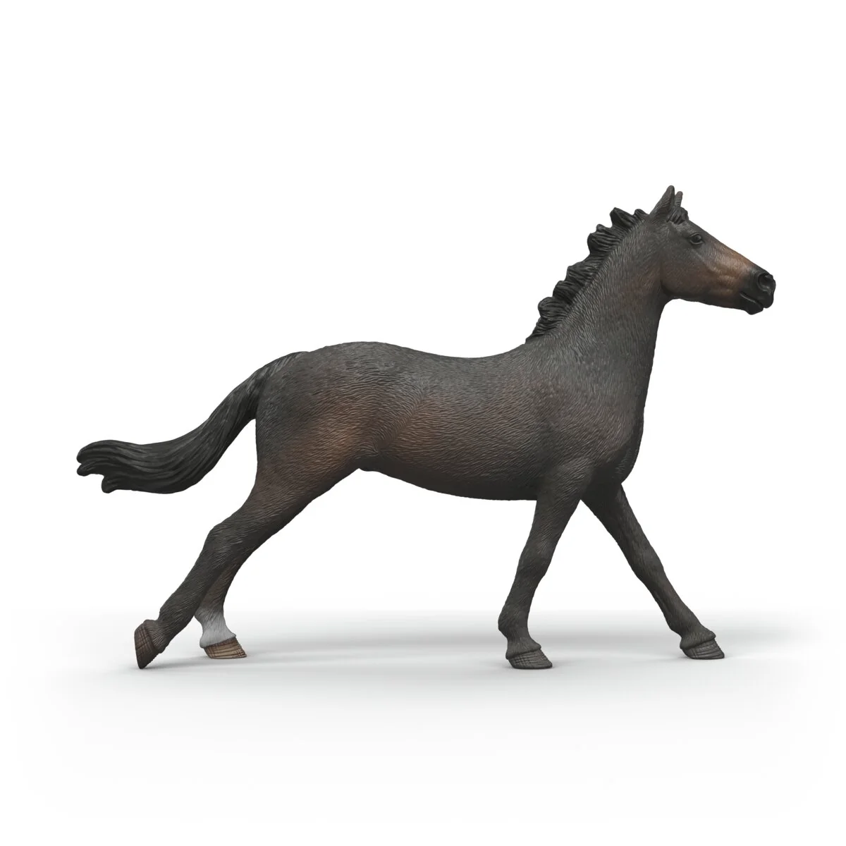 English Thoroughbred Mare - Image 5