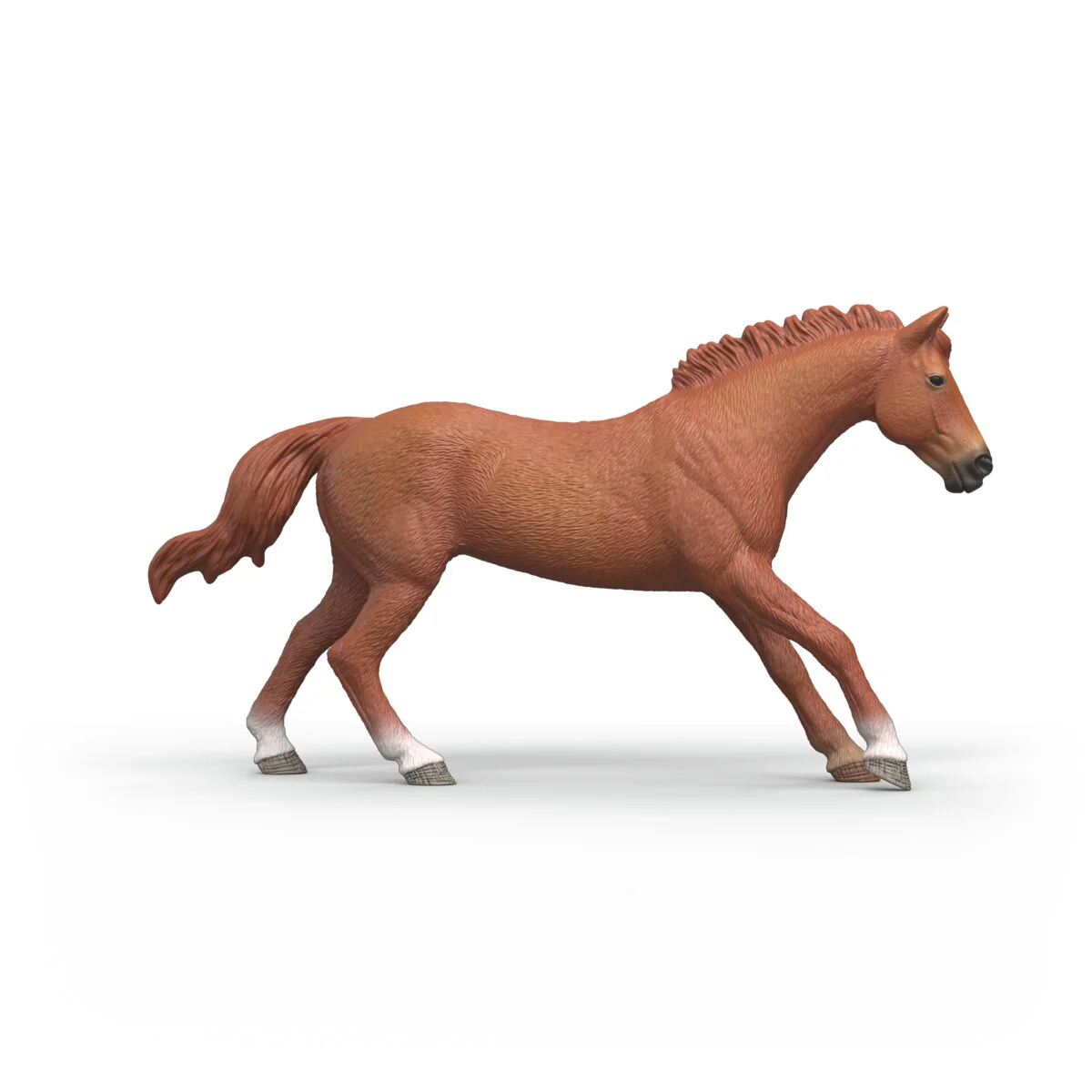 English Thoroughbred Stallion - Image 3