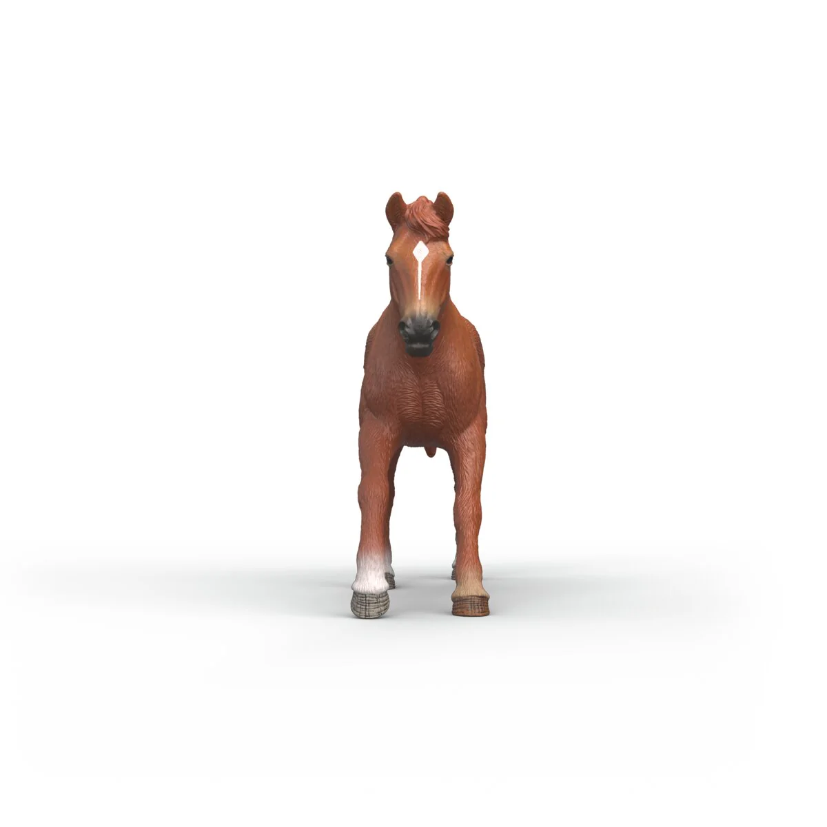 English Thoroughbred Stallion - Image 4