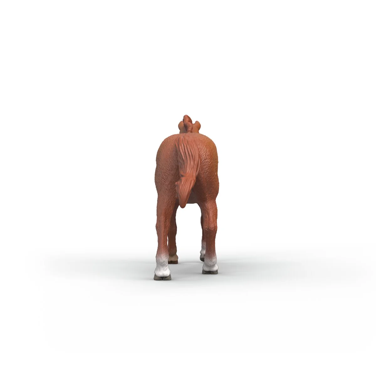 English Thoroughbred Stallion - Image 5