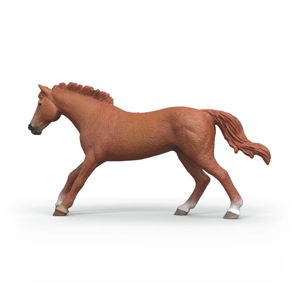 English Thoroughbred Stallion - Image 6