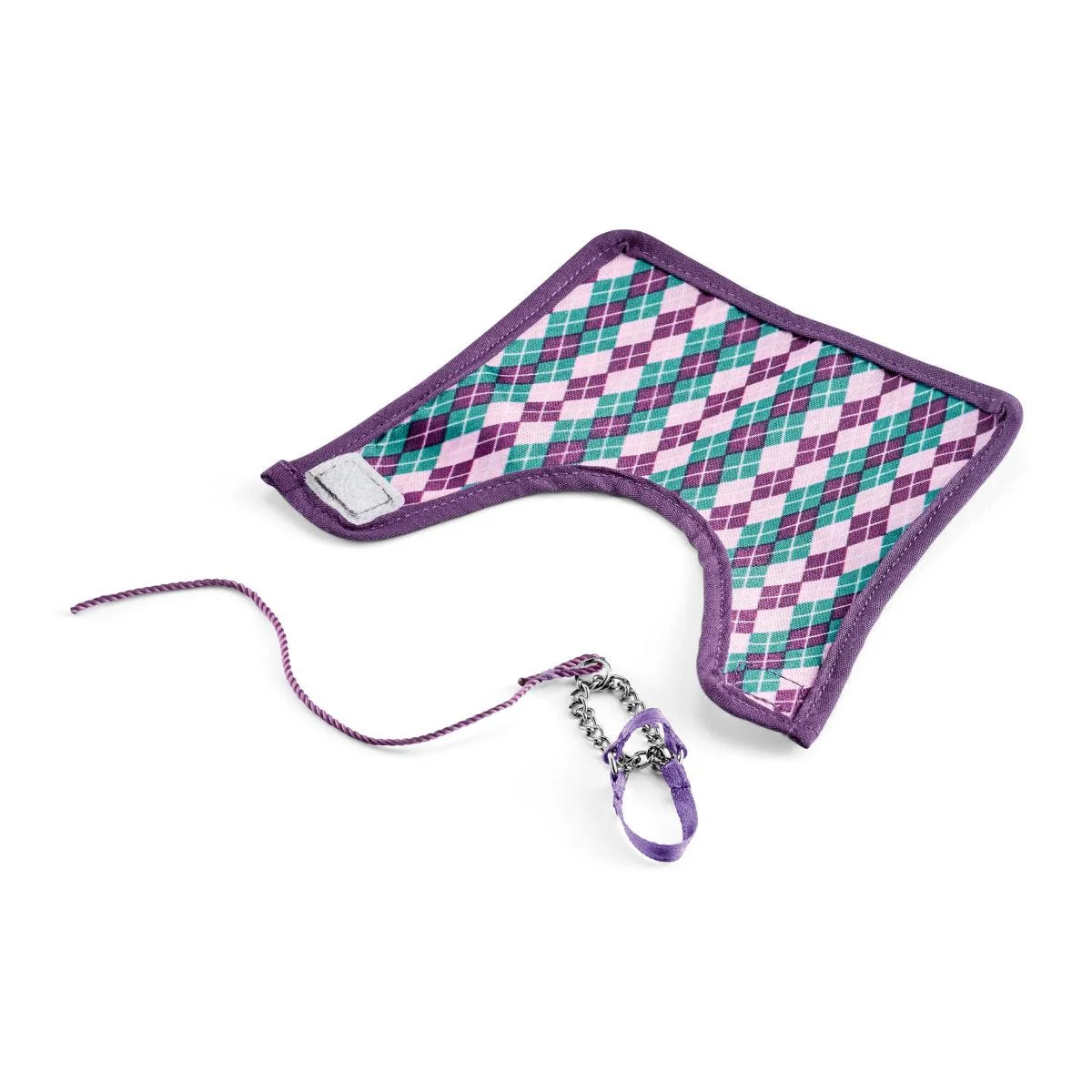 English Thoroughbred with blanket - Image 3