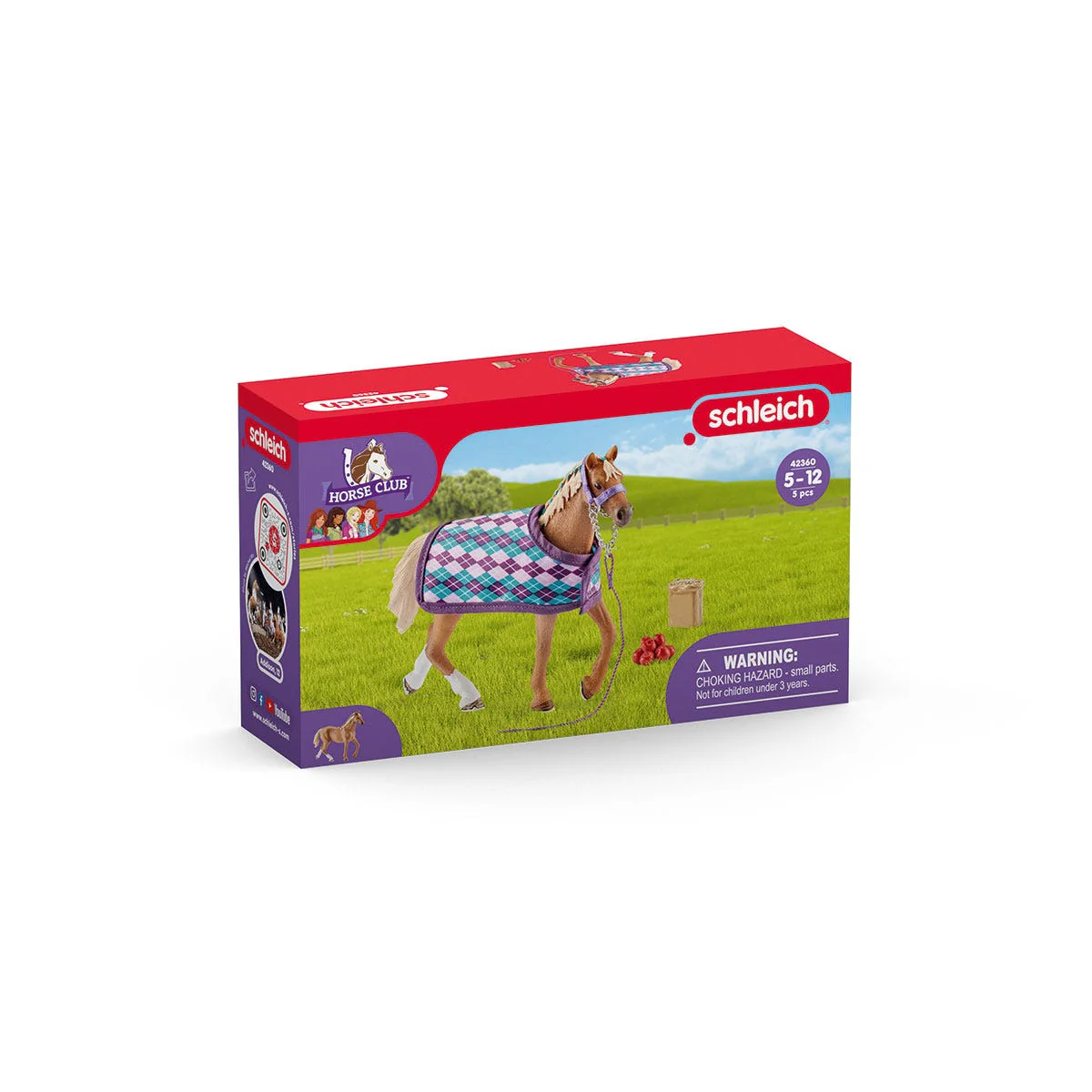 English Thoroughbred with blanket - Image 4